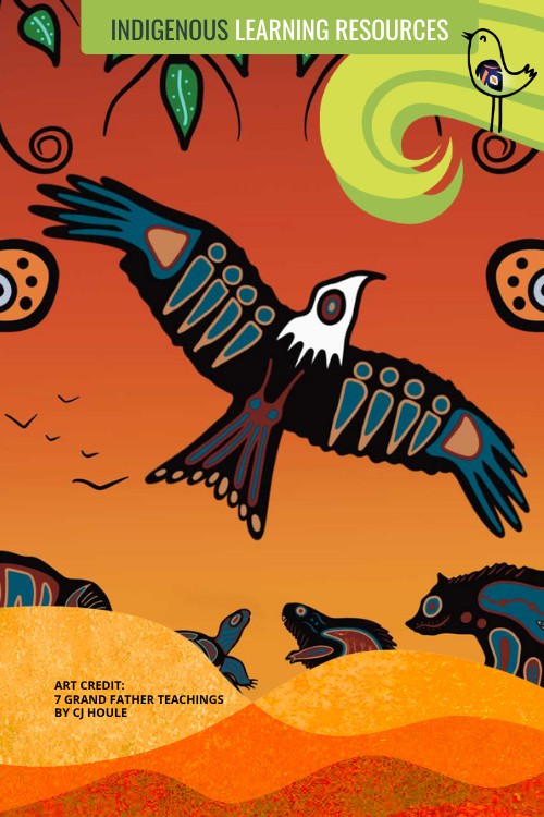 Indigenous Learning Resources - Outdoor Learning School & Store